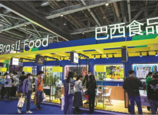 Chine : Le commerce avec les autres pays des BRICS dépasse les 300 milliards de dollars