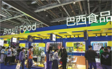 Chine : Le commerce avec les autres pays des BRICS dépasse les 300 milliards de dollars