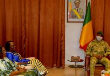Coopération Burkina Faso-République du Mali: La ministre Olivia Rouamba reçue au palais de Koulouba