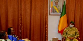 Coopération Burkina Faso-République du Mali: La ministre Olivia Rouamba reçue au palais de Koulouba