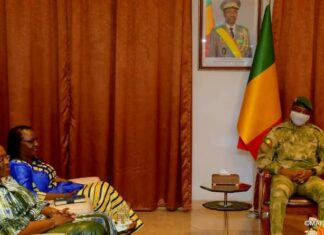 Coopération Burkina Faso-République du Mali: La ministre Olivia Rouamba reçue au palais de Koulouba
