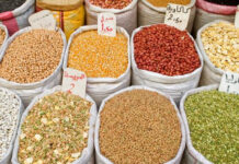 Sanctions contre le Niger : Le Burkina autorise l’exportation de céréales « à titre exceptionnel » en soutien à son voisin