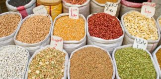 Sanctions contre le Niger : Le Burkina autorise l’exportation de céréales « à titre exceptionnel » en soutien à son voisin