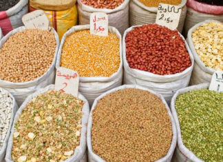 Sanctions contre le Niger : Le Burkina autorise l’exportation de céréales « à titre exceptionnel » en soutien à son voisin