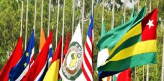 Déploiement de la force d’attente au Niger : Des Parlementaires de la CEDEAO s’opposent et prônent la négociation