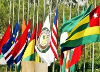 Déploiement de la force d’attente au Niger : Des Parlementaires de la CEDEAO s’opposent et prônent la négociation