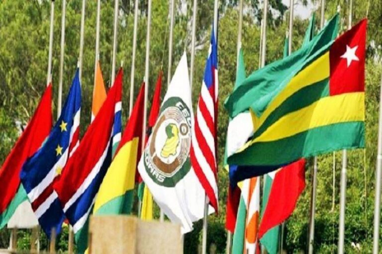 Déploiement de la force d’attente au Niger : Des Parlementaires de la CEDEAO s’opposent et prônent la négociation