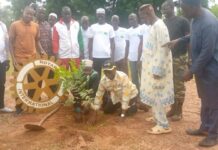 Doumdoulma: le Rotary club Ouagadougou Savane reboise l’école primaire