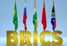 Sommet des Brics : plusieurs pays africains veulent intégrer l’organisation