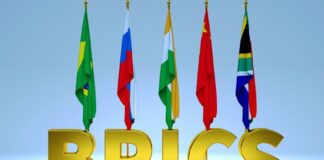Sommet des Brics : plusieurs pays africains veulent intégrer l’organisation