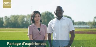 Développement de l’agriculture à Yancheng : l’empreinte de la modernisation à la chinoise