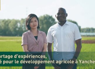 Développement de l’agriculture à Yancheng : l’empreinte de la modernisation à la chinoise