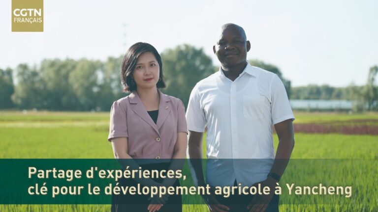 Développement de l&rsquo;agriculture à Yancheng : l’empreinte de la modernisation à la chinoise