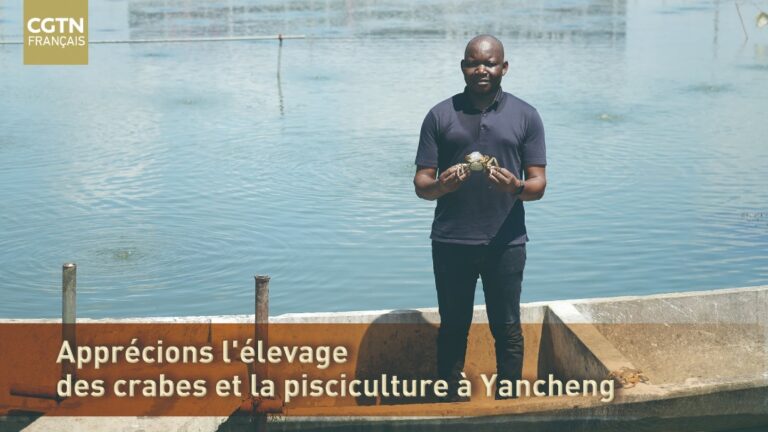 Aquaculture à Yancheng : le souffle de la modernisation sur une longue tradition maritime
