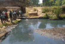 Changements environnementaux : l’homme, premier responsable