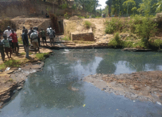 Changements environnementaux : l’homme, premier responsable