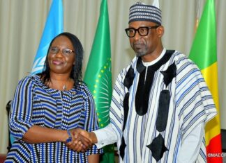 Coopération Burkina Faso/Mali/Niger : Les trois pays renforcent leurs liens d’amitié