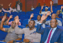 Réorganisation institutionnelle : les députés actent la dissolution du HCRUN