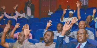 Réorganisation institutionnelle : les députés actent la dissolution du HCRUN