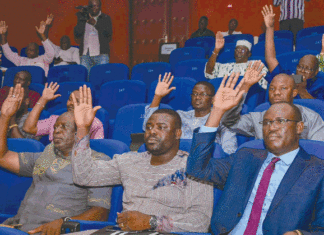 Réorganisation institutionnelle : les députés actent la dissolution du HCRUN