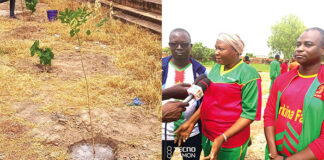 Campagne de reboisement au Musée national : une centaine de plants mis en terre