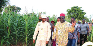 Suivi de la campagne agricole 2023-2024 : le ministre Sombié se rassure dans les Hauts-Bassins