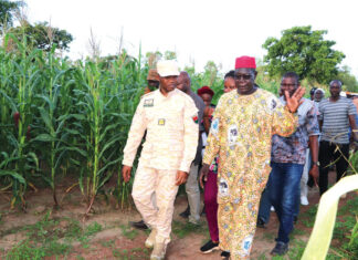 Suivi de la campagne agricole 2023-2024 : le ministre Sombié se rassure dans les Hauts-Bassins