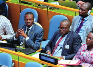 Mise en œuvre des ODD 2030 : les experts au bilan à New York