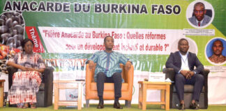 Redynamisation de la filière anacarde : les acteurs se partagent les responsabilités