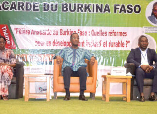 Redynamisation de la filière anacarde : les acteurs se partagent les responsabilités