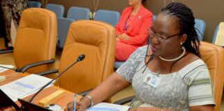 Plan d’action pour la stabilisation et le développement : Des partenaires du Burkina disposés à accompagner le pays