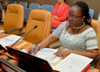 Plan d’action pour la stabilisation et le développement : Des partenaires du Burkina disposés à accompagner le pays