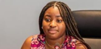 Assainissement en Afrique: Les défis présentés au REMAPSEN par l’ONG Speak Up Africa