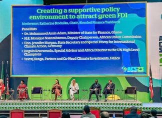 Mobilisation des finances climat : Les investisseurs souhaitent un partage des risques