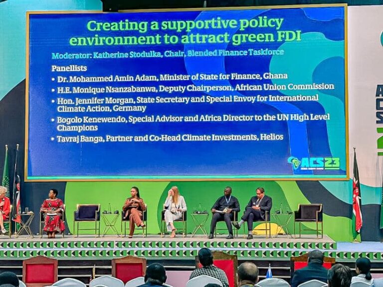 Mobilisation des finances climat : Les investisseurs souhaitent un partage des risques