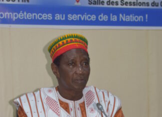 Lutte contre le paludisme : Le Conseil Economique et Social vulgarise deux résultats de recherche pouvant endiguer le mal