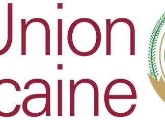 G20 : L’Union africaine (UA) devient membre permanent