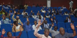 Coopération militaire : Les députés votent pour l’envoi d’un contingent militaire au Niger