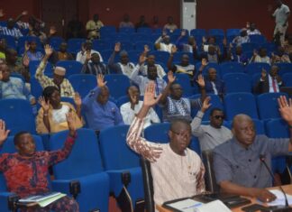 Coopération militaire : Les députés votent pour l’envoi d’un contingent militaire au Niger