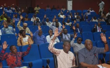 Coopération militaire : Les députés votent pour l’envoi d’un contingent militaire au Niger