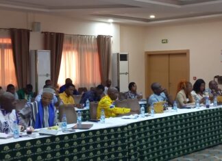 Rotary et Rotaract : le renforcement des clubs pour un meilleur développement des communautés