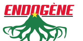 An 76 de la reconstitution de la Haute-Volta: l’association ENDOGENE plaide pour une célébration nationale