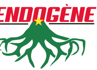 An 76 de la reconstitution de la Haute-Volta: l’association ENDOGENE plaide pour une célébration nationale