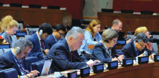 Promotion de l’inclusion et de la médiation: le Burkina Faso partage son expérience aux Nations unies