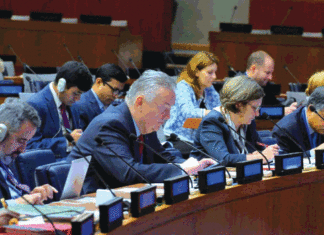 Promotion de l’inclusion et de la médiation: le Burkina Faso partage son expérience aux Nations unies