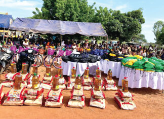 Journée promotionnelle de l’excellence : plus 340 élèves et enseignants récompensés