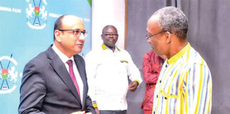 Coopération : l’Egypte prête à consolider ses relations avec le Burkina