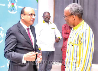 Coopération : l’Egypte prête à consolider ses relations avec le Burkina