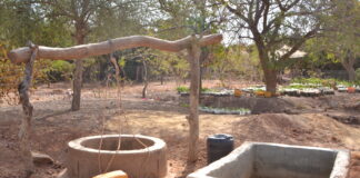 Actu vert: La pénurie d’eau crée un déséquilibre environnemental