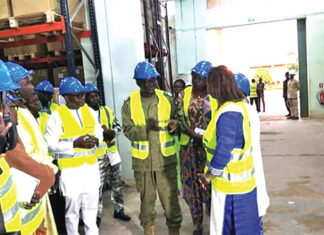 CAMEG : le ministre de la Santé du Niger découvre l’« officine »